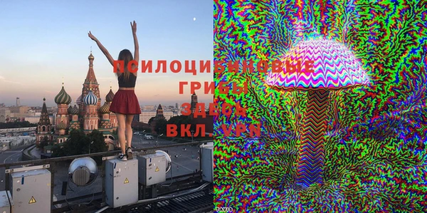 скорость Липки
