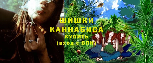 шишки Лиски