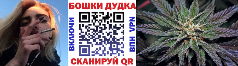 МАРИХУАНА конопля Балаково